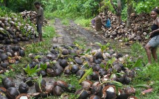 South Pacific islanders strive to rescue their home from toxic legacy