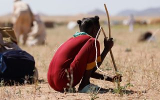 Darfur: Two decades on, a new generation of children faces 'horrific violence'
