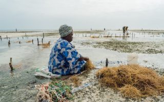 Explainer: How the GEF Funds Global Environmental Action