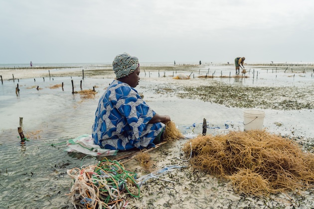 Explainer: How the GEF Funds Global Environmental Action