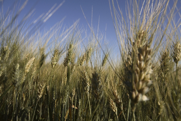 The Grocery Bill Is Calm – The AgriFood System Is Not