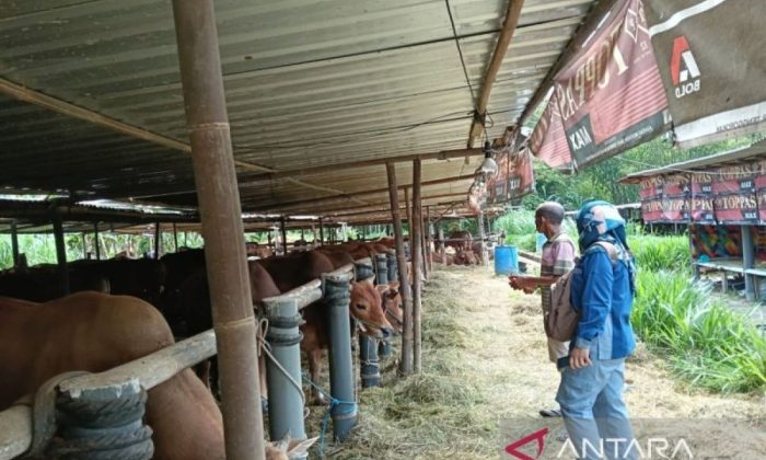 DPP Kulon Progo pantau 30 tempat penampungan hewan kurban