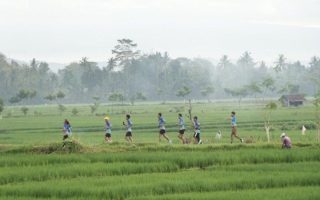 Dispar Kulon Progo selenggarakan Sermo Run