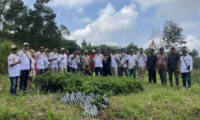 Satria DIY tanam 1.800 bibit pohon di lereng Merapi perkuat ekonomi warga