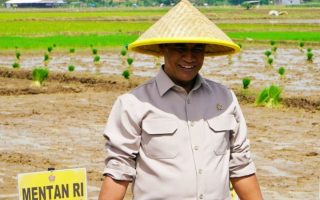 Pemerintah memperkuat pengawasan beras cegah praktik mafia pangan