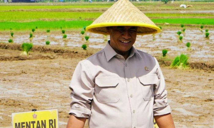 Pemerintah memperkuat pengawasan beras cegah praktik mafia pangan