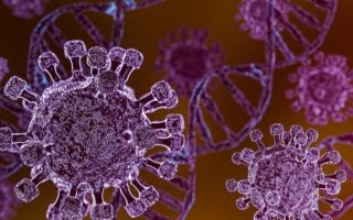 Hantavirus Ancam Penderita Jantung, Dokter Minta Tingkatkan Kewaspadaan