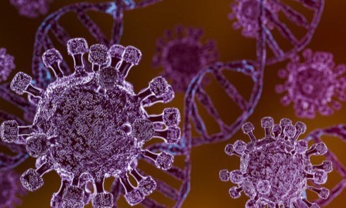 Hantavirus Ancam Penderita Jantung, Dokter Minta Tingkatkan Kewaspadaan