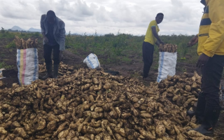 Cleaning Up the Fields: Across Africa and Asia GEF is Helping Farmers Rewrite Their Pesticide Story