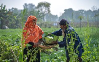 Building Resilient Food Systems in an Age of Disruption