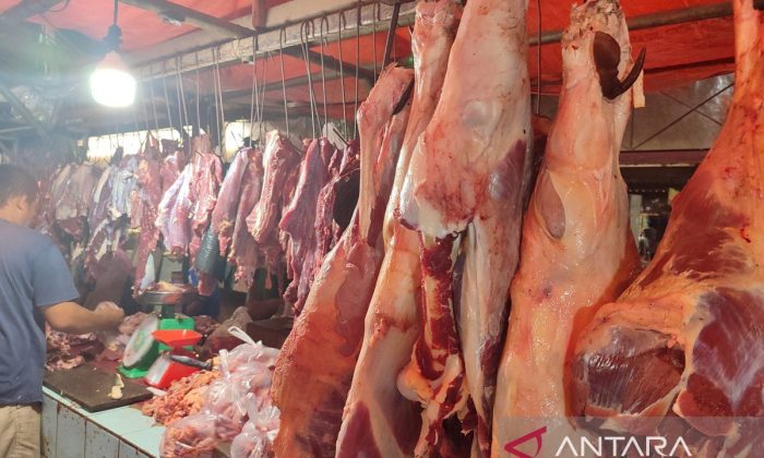 POGI: Konsumsi daging merah berpengaruh pada kualitas embrio