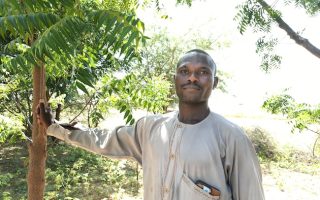 Ambitious Great Green Wall Shows Slow, Steady Progress in Strengthening Landscapes, Improving Livelihoods