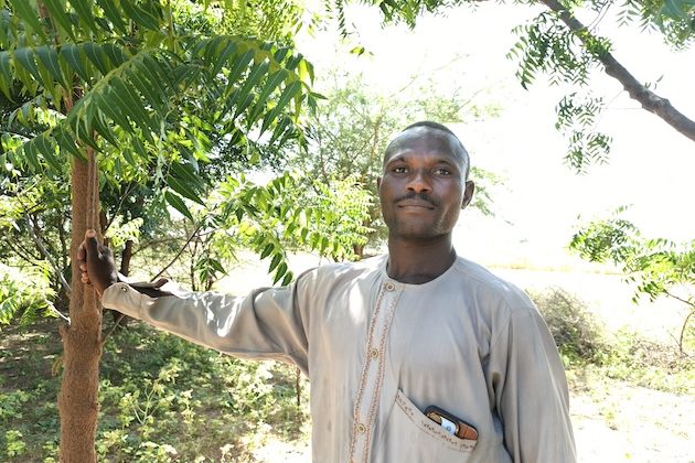 Ambitious Great Green Wall Shows Slow, Steady Progress in Strengthening Landscapes, Improving Livelihoods
