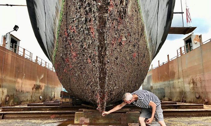 The GEF, Leads Global Drive to Tackle Shipping Threat to Oceans