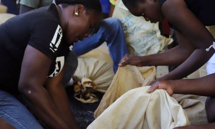 World News in Brief: Haiti crisis continues, Gaza-West Bank update, Sir David Attenborough at 100