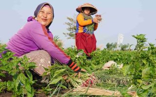 ‘Real impact on the ground’ needed as Indonesia backs UN reform
