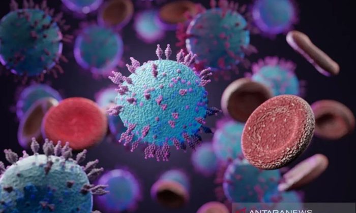 WHO: Risiko penyebaran hantavirus relatif rendah