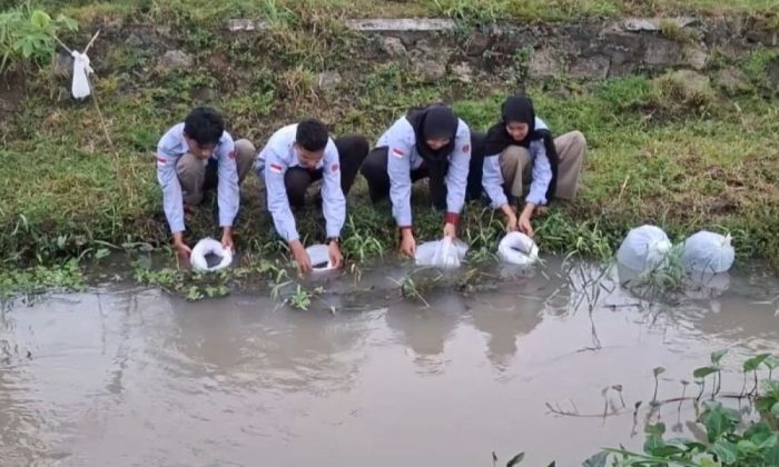 Mahasiswa UNY tebar 1.100 bibit ikan di Sungai Winongo untuk mendukung SDGs