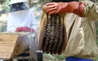 One of the Oldest Agricultural Innovations Needs New Actions