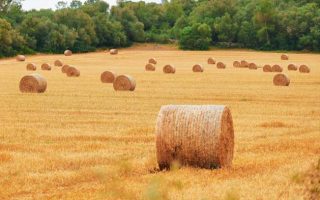 Keep Inputs Moving to Keep Food Affordable