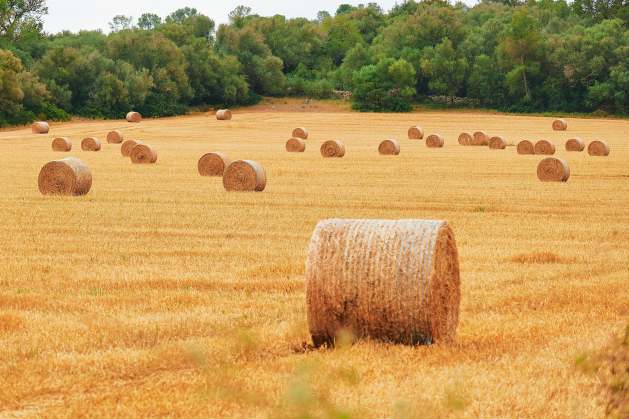 Keep Inputs Moving to Keep Food Affordable