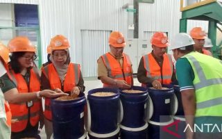 Kementan dukung perusahaan perbanyak benih jagung kualitas pangan