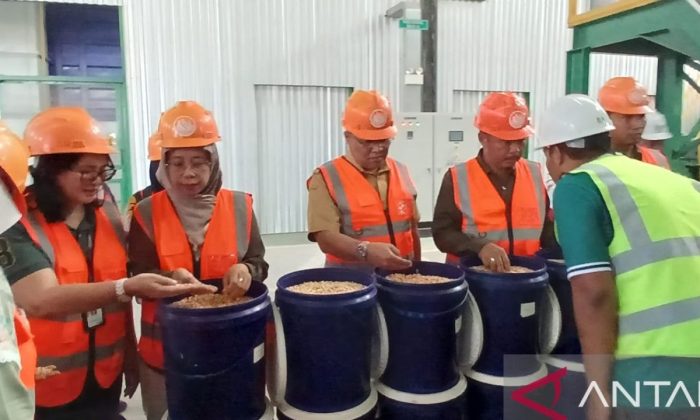 Kementan dukung perusahaan perbanyak benih jagung kualitas pangan