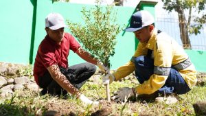 BPKH Perkuat Hutan Lindung Demi Cegah Kebakaran