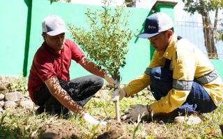 BPKH Perkuat Hutan Lindung Demi Cegah Kebakaran