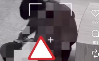Kabar Terbaru Kasus Pria Diduga Lecehkan Anjing Pomeranian di Kafe Jakut