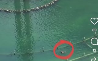Warganet Salah Sangka! Pria yang Berenang di Bundaran HI Ternyata Bukan Orang 'Sembarangan'