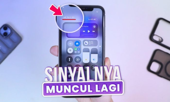 Membongkar Penyebab Sinyal Hilang di iPhone, dari Gangguan iOS hingga Kerusakan IC Baseband