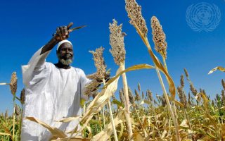 Armed Conflict, Funding Cuts and Supply Chain Pressures Deepen Global Hunger Risks