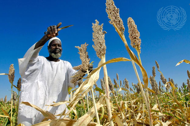 Armed Conflict, Funding Cuts and Supply Chain Pressures Deepen Global Hunger Risks