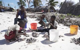 Fossil Fuel Wealth Fails to Deliver Development in Africa – Report
