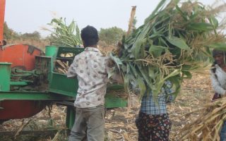 India: How a Tool Bank Beats Poverty in Rural Maharashtra