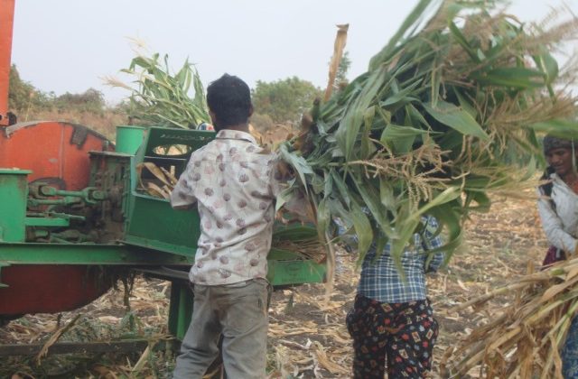 India: How a Tool Bank Beats Poverty in Rural Maharashtra