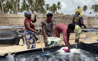 In West Africa’s Benin, Women Make Centuries-Old Salt Production Methods Sustainable