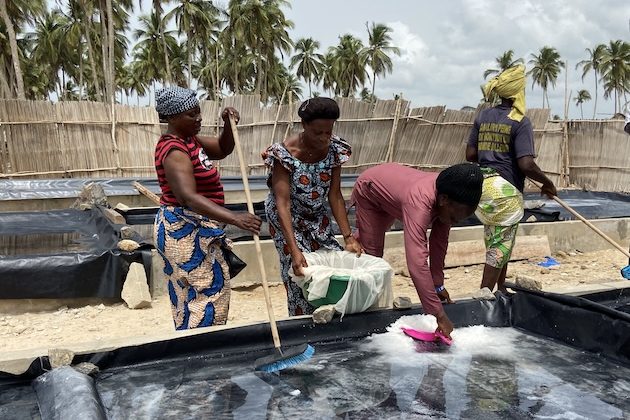 In West Africa’s Benin, Women Make Centuries-Old Salt Production Methods Sustainable