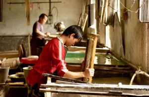 Bhutan’s WTO Path: Learning from the Global South