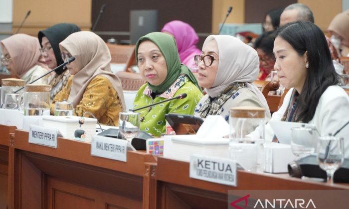 Menteri PPPA menegaskan komitmen pemerintah perkuat tata kelola daycare