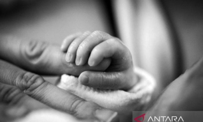 Polres Bantul tangani dugaan kekerasan ibu terhadap anak balitanya