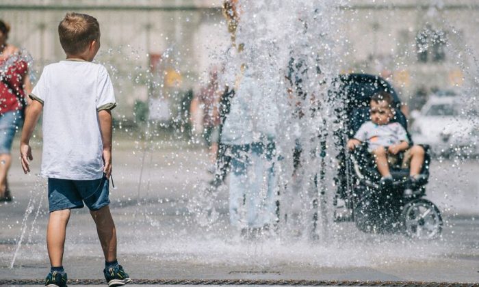 Europe heatwave breaks records as UN agencies ramp up health warnings
