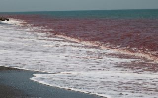 Strait of Hormuz: Gradual re-opening is no quick fix for developing nations, UN warns