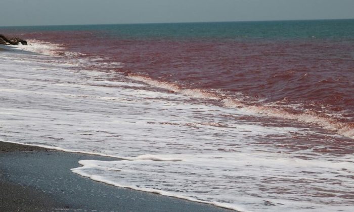 Strait of Hormuz: Gradual re-opening is no quick fix for developing nations, UN warns