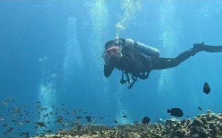 ‘The ocean has no boundaries’: Beauty and life in a war zone