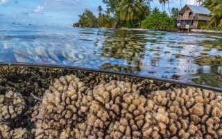 Humanity’s future depends on protecting the rapidly changing ocean