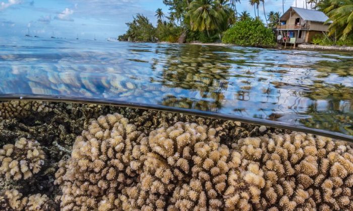Humanity’s future depends on protecting the rapidly changing ocean
