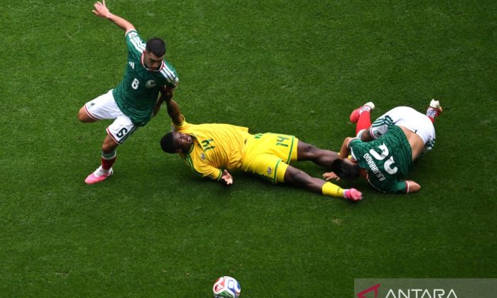 Pelatih Afrika Selatan sayangkan timnya akhiri laga dengan 9 pemain