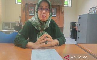 DP3 Sleman memperkuat pengamatan lapangan antisipasi serangan wereng